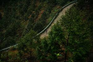 BIB: 
                            <button type="button" onclick="openModal(26297338)" class="btn btn-primary btn-sm float-right btn-popup" data-toggle="modal" data-target=".modal-high-quality">
                        <i class="fas fa-shopping-cart"></i> Add to Cart
                    </button>
                                            <button type="button" onclick="isThisMe(26297338, true)" class="btn btn-success btn-sm float-right btn-popup btn-isme hidden" data-toggle="tooltip" data-placement="bottom" title="นี่คือรูปของคุณใช่ไหม คลิกที่นี่เพื่อเอาเข้าอัลบั้ม">
                        <i class="fas fa-plus"></i> Add to album
                    </button>
                    <button type="button" onclick="isThisMe(26297338, false)" class="btn btn-warning btn-sm float-right btn-popup btn-isnotme hidden">
                        <i class="fas fa-ban"></i> Remove from album
                    </button>